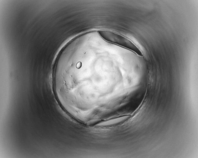 X0000095691100200802051307