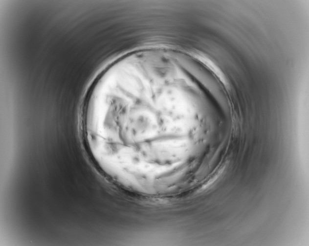 X0000095691101200802051307