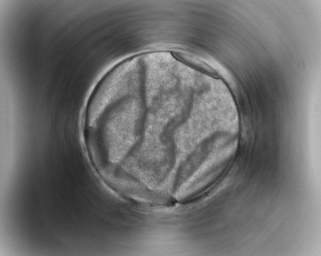 X0000095691102200802051307