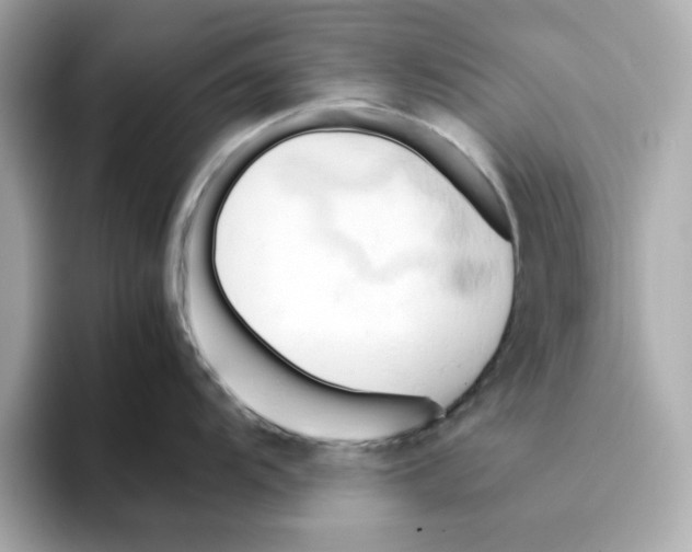 X0000095691104200802051307