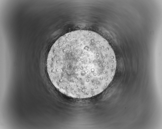 X0000095691105200802051306