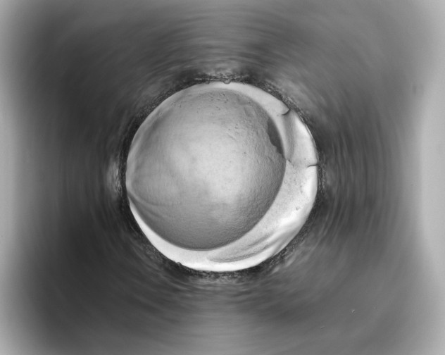 X0000095691106200802051307