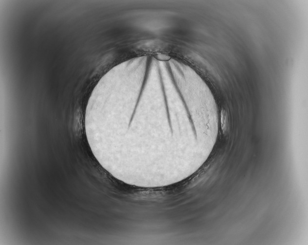 X0000095691107200802051307