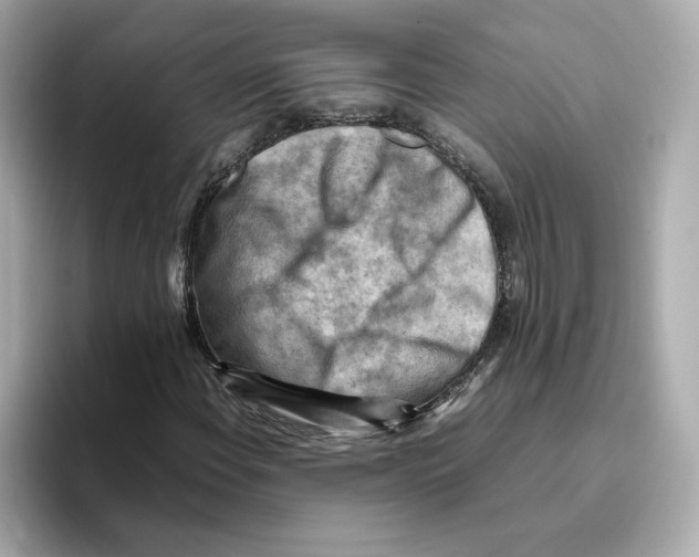 X0000095691108200802051307