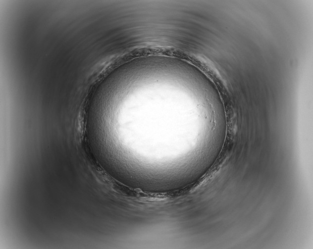X0000095691110200802051307