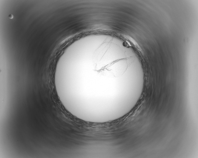X0000095691112200802051307