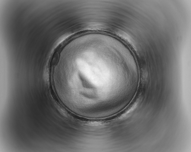 X0000095691114200802051307