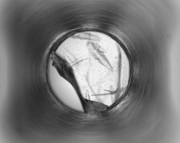 X0000095691115200802051307