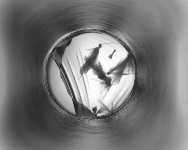X0000095691116200802051307
