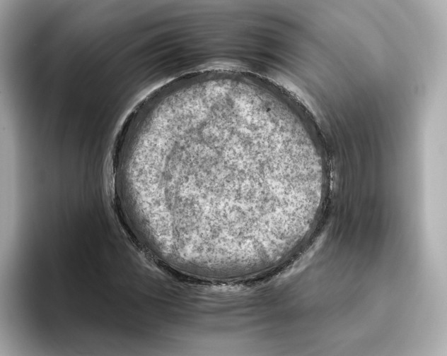 X0000095691117200802051307
