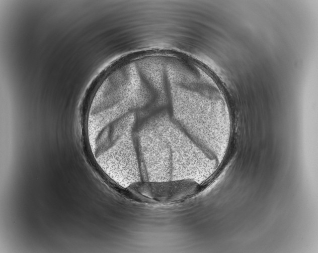 X0000095691118200802051307