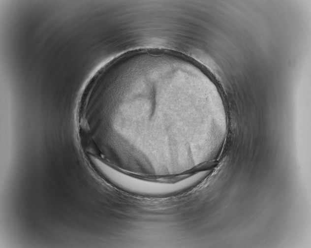 X0000095691120200802051307