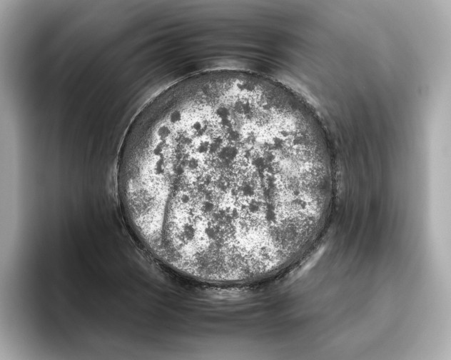 X0000095691121200802051307