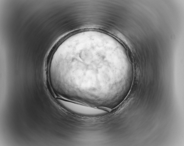 X0000095691124200802051307