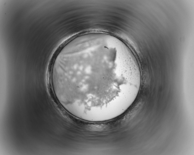 X0000095691125200802051307