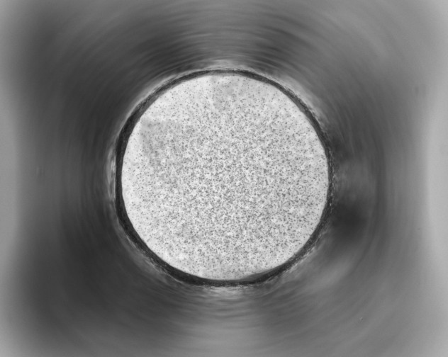 X0000095691126200802051307