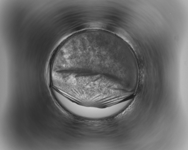 X0000095691127200802051307
