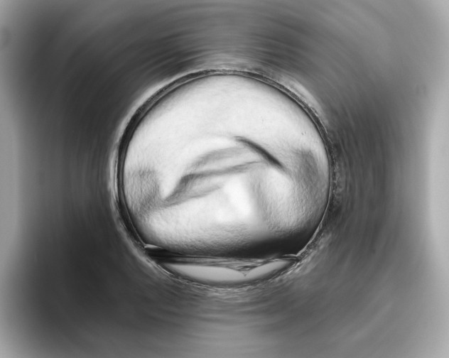 X0000095691128200802051307