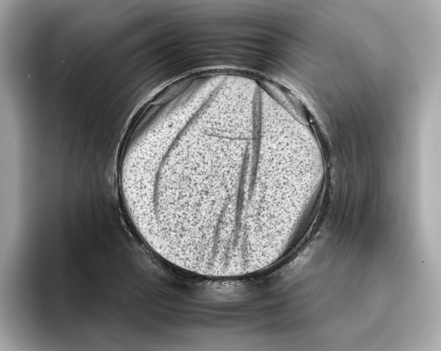 X0000095691129200802051307