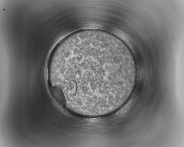 X0000095691130200802051307