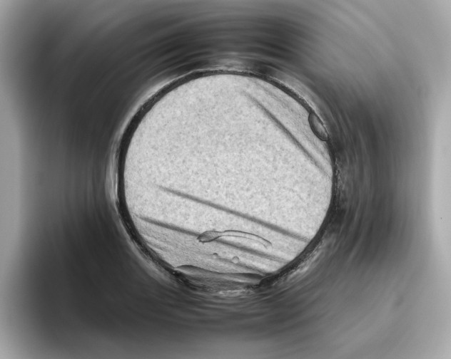 X0000095691131200802051307