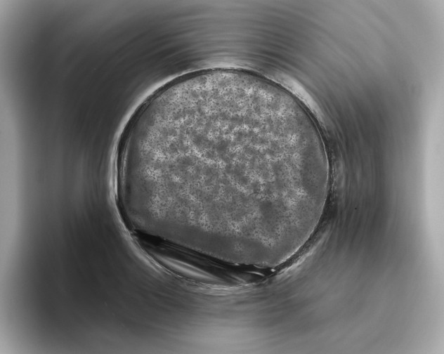 X0000095691132200802051307