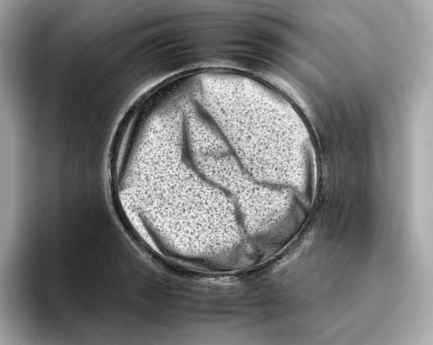 X0000095691133200802051307