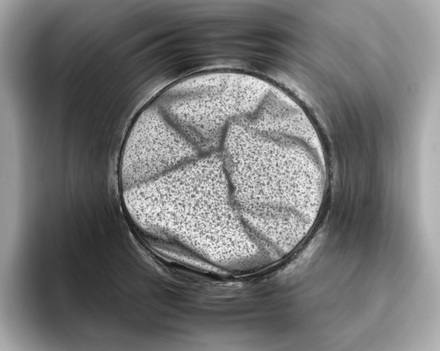 X0000095691137200802051307