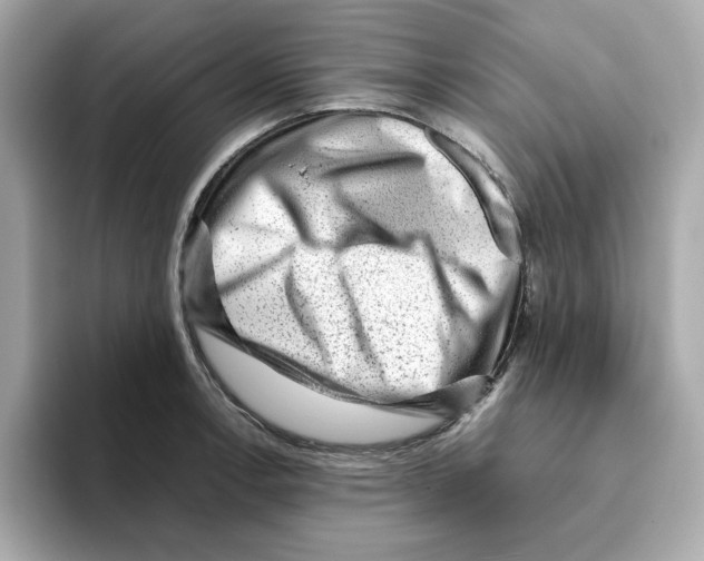 X0000095691138200802051307