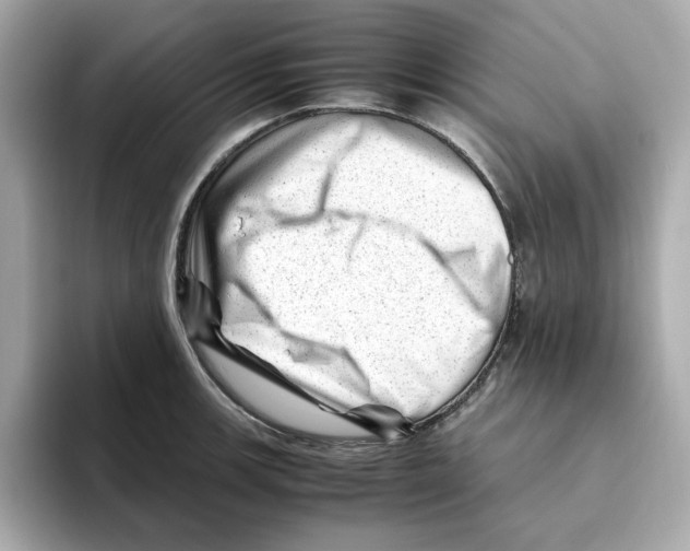 X0000095691139200802051307