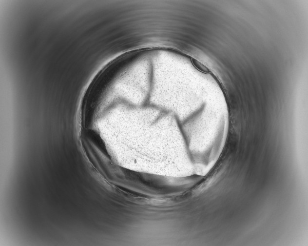 X0000095691140200802051307