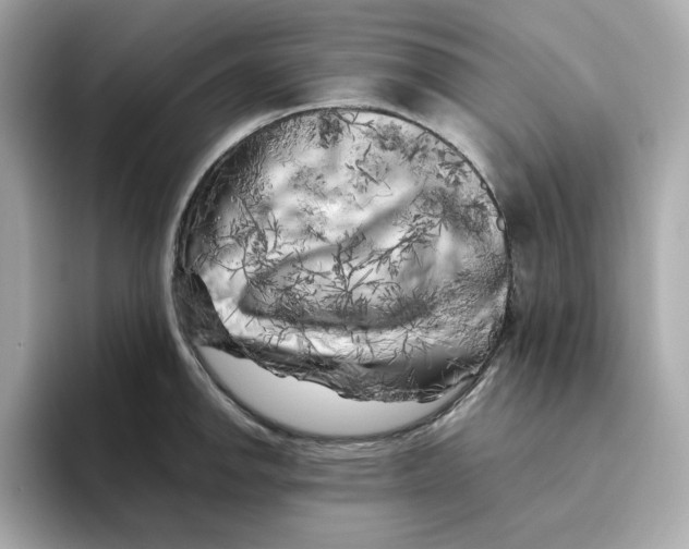 X0000095691142200802051307