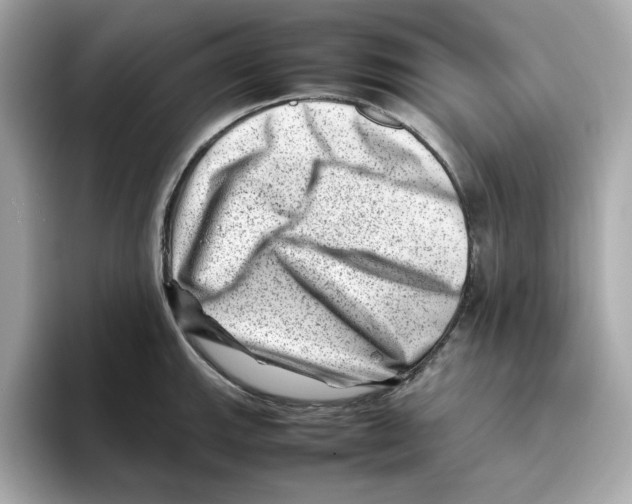 X0000095691143200802051307
