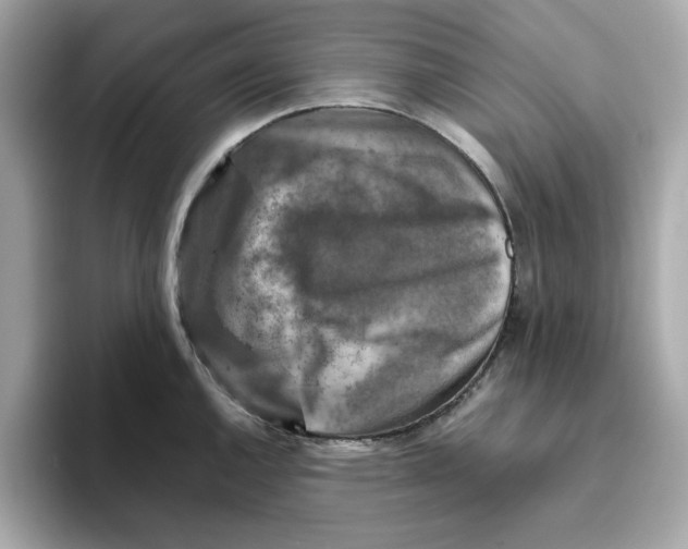 X0000095691144200802051307