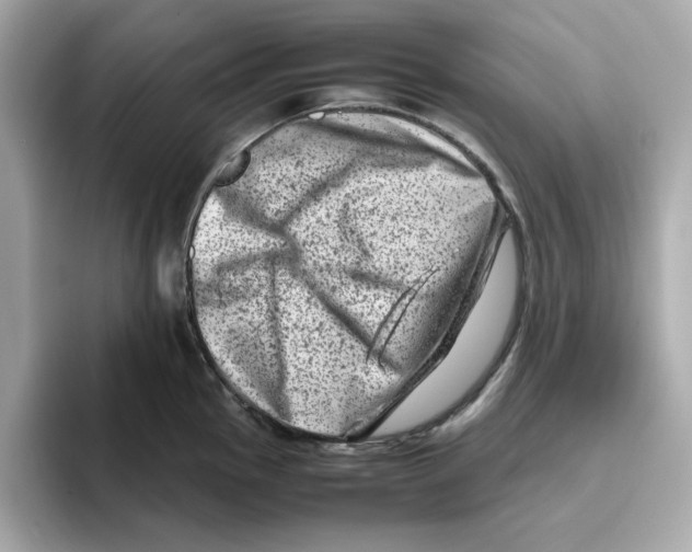 X0000095691145200802051307