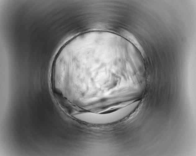 X0000095691146200802051307