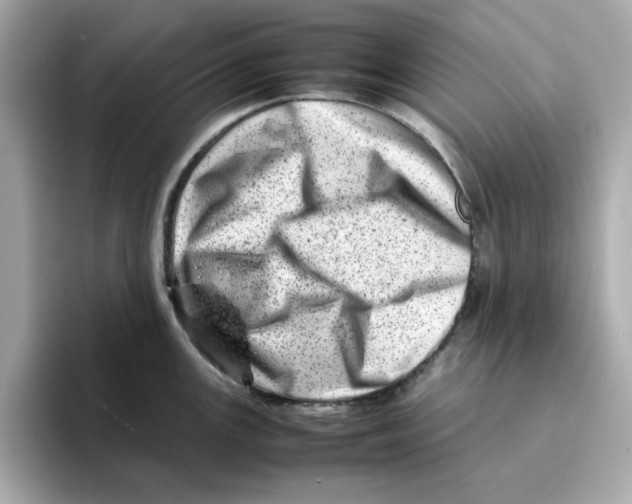 X0000095691147200802051307
