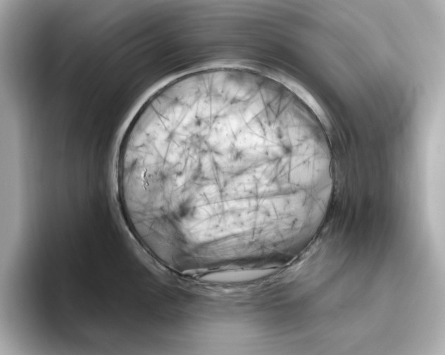 X0000095691148200802051307