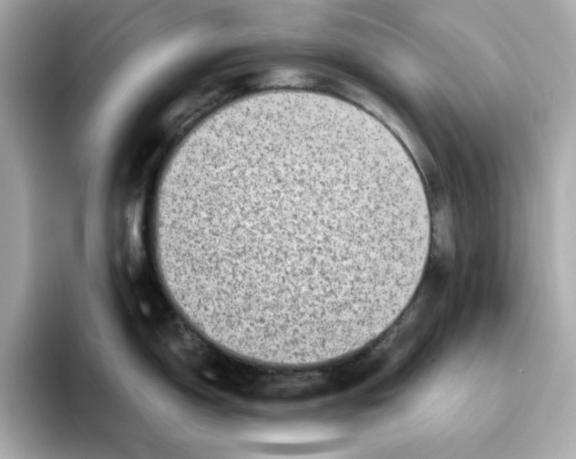X0000095691150200802051307