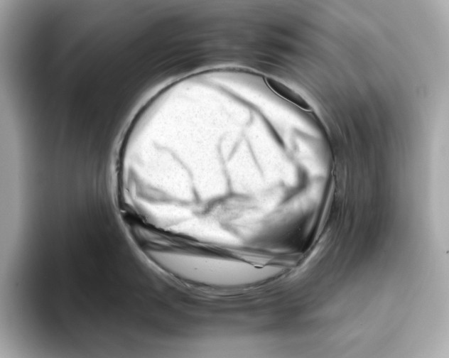 X0000095691151200802051307