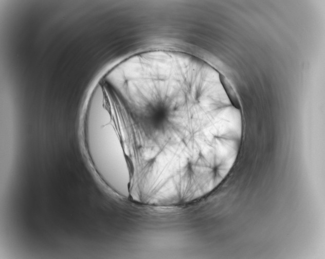 X0000095691152200802051307