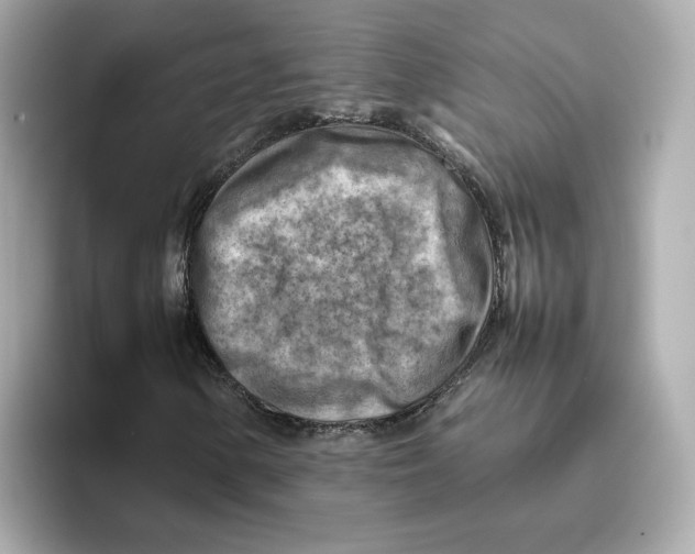 X0000095691154200802051306