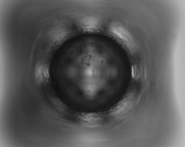 X0000095691155200802051306