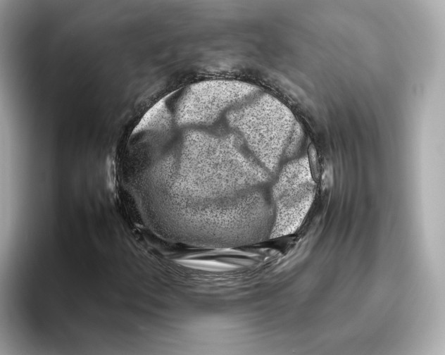 X0000095691156200802051306