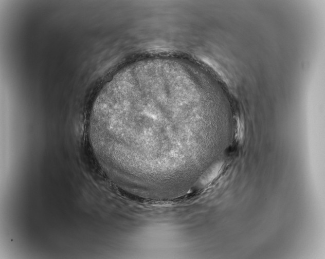 X0000095691157200802051306