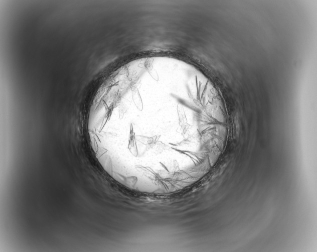 X0000095691158200802051306