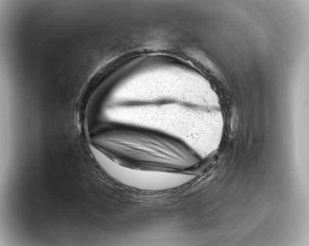 X0000095691160200802051306