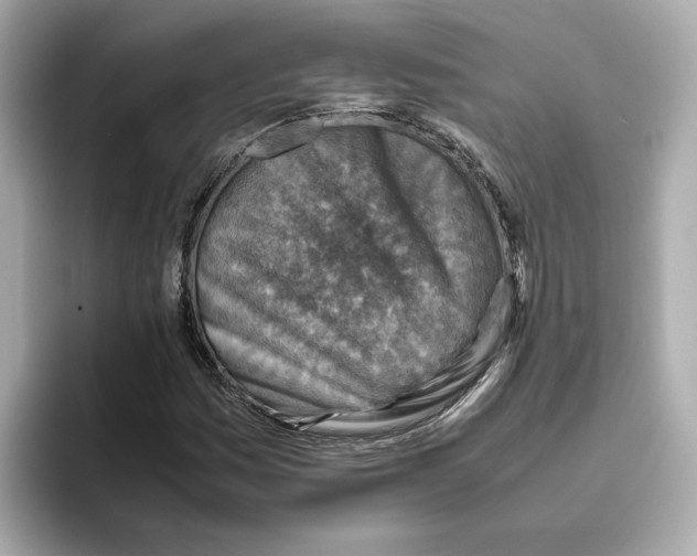 X0000095691161200802051306