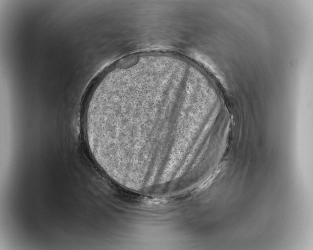X0000095691165200802051306