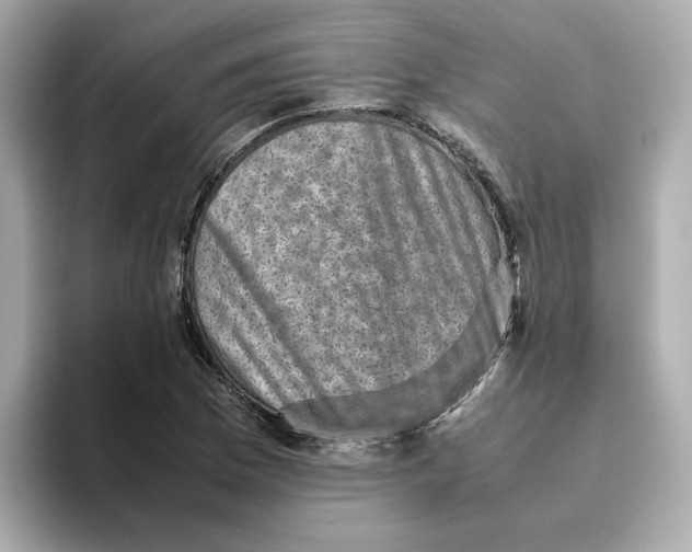 X0000095691169200802051306